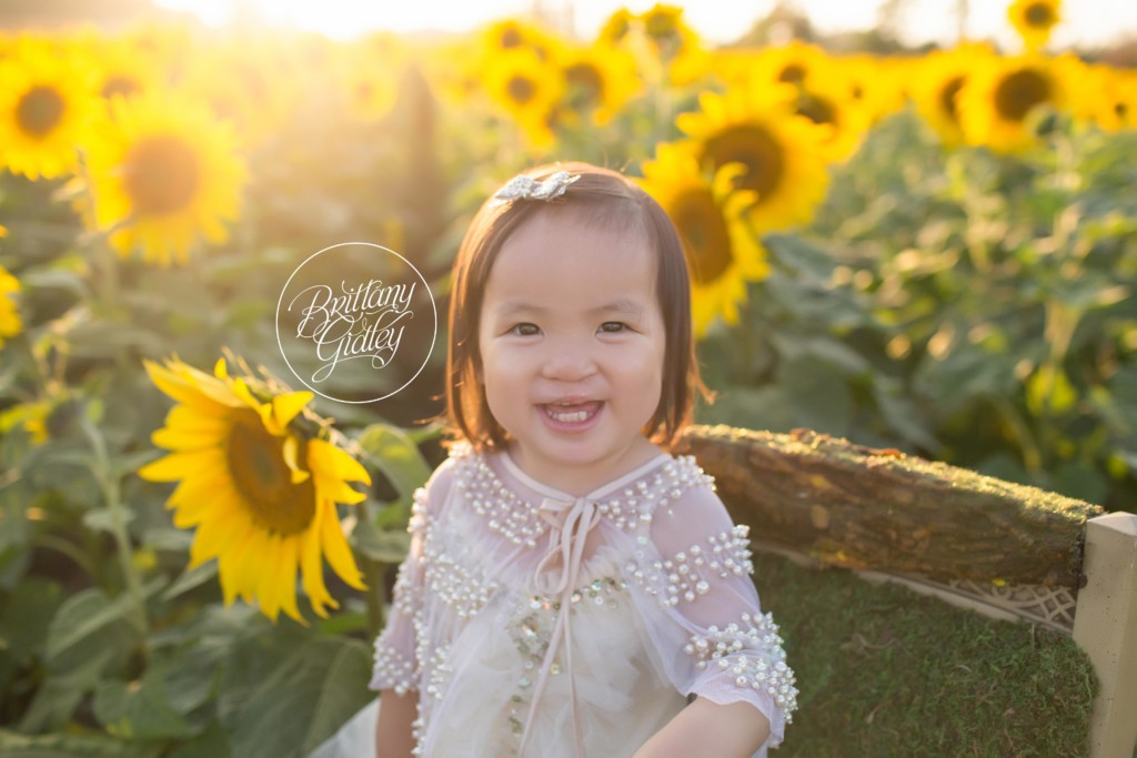 Bay Village Family Photographer | Prayers From Maria Sunflower Field | Sunflower Field Avon Ohio | Whimsical Child Photography
