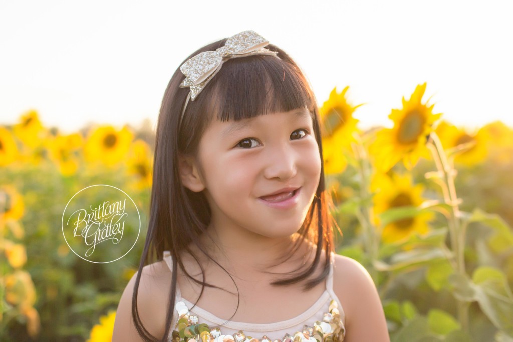 Bay Village Family Photographer | Prayers From Maria Sunflower Field | Sunflower Field Avon Ohio | Whimsical Child Photography