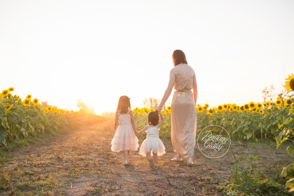 Bay Village Family Photographer | Prayers From Maria Sunflower Field | Sunflower Field Avon Ohio | Whimsical Child Photography
