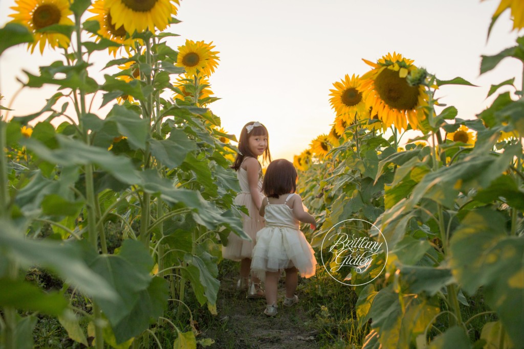 Bay Village Child Photographer | Prayers From Maria Sunflower Field | Sunflower Field Avon Ohio | Whimsical Child Photography