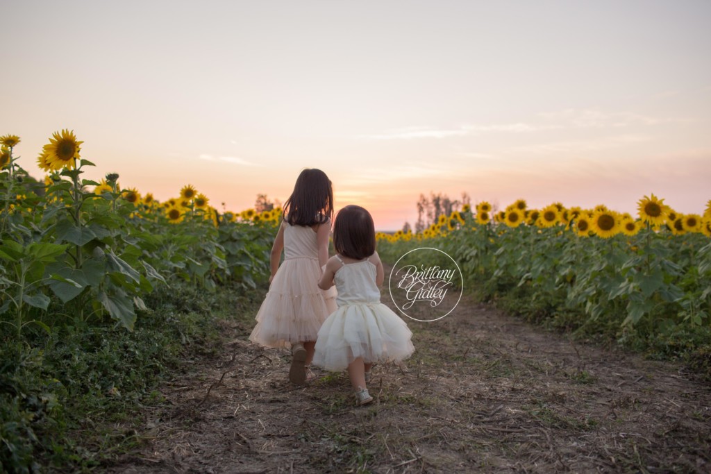 Bay Village Child Photographer | Prayers From Maria Sunflower Field | Sunflower Field Avon Ohio | Whimsical Child Photography