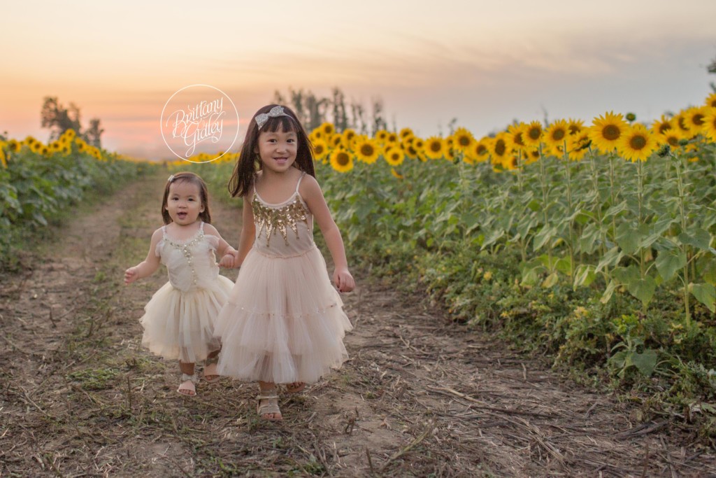 Bay Village Child Photographer | Prayers From Maria Sunflower Field | Sunflower Field Avon Ohio | Whimsical Child Photography