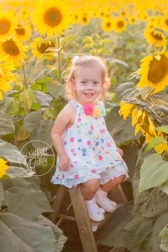 Beachwood Family Photographer | Beachwood Family Photography | Child Photographer | Sunflower Field
