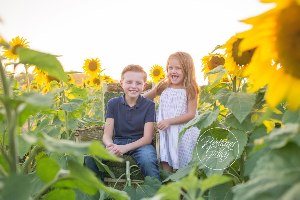 Westlake Family Photographer | Prayers From Maria Sunflower Field | Child Photography | Sunflower Field