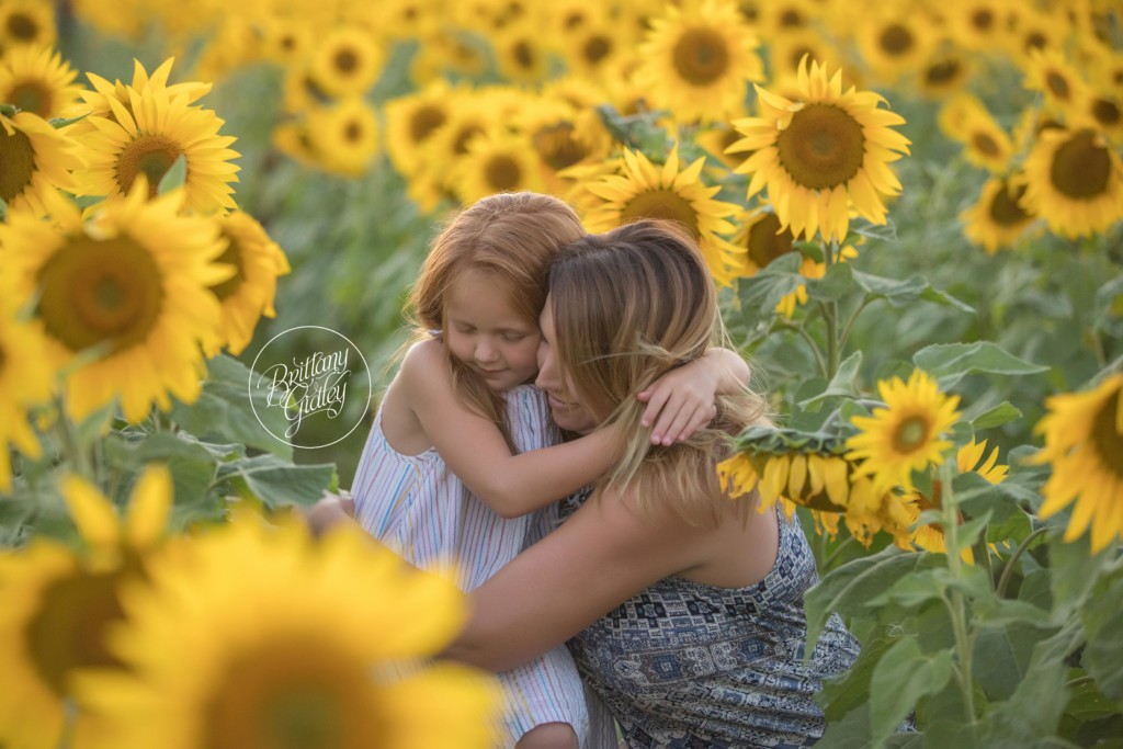 Westlake Family Photography | Prayers From Maria Sunflower Field | Child Photography | Sunflower Field