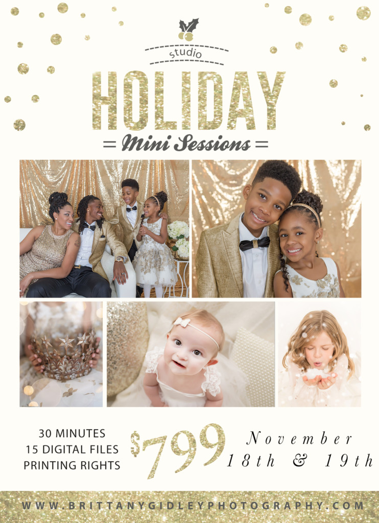 Sparkle & Shine Studio Holiday Mini Sessions Brittany Gidley Photography 