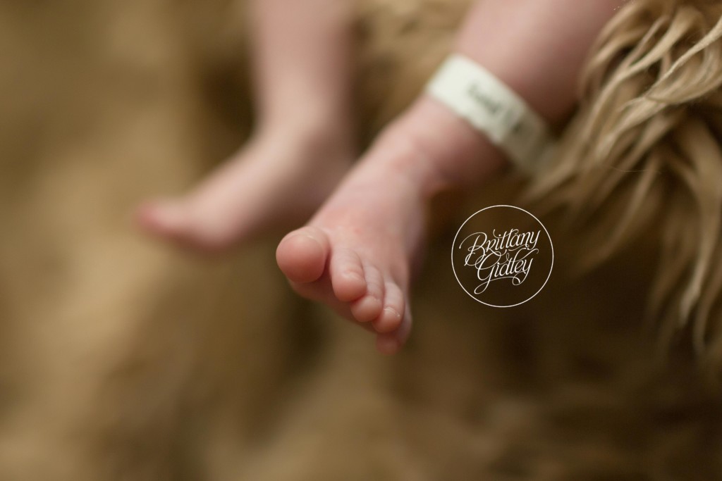 Best NICU Photography | Best NICU Photographer | Volunteer NICU Photography | Brittany Gidley Photography LLC