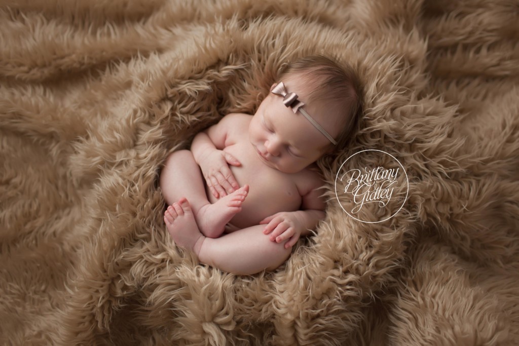 Rocky River Newborn Photography | Rocky River Newborn Photographer | Baby Girl Newborn Photos | Newborn Baby Girl | Brittany Gidley Photography LLC | Rocky River, Ohio