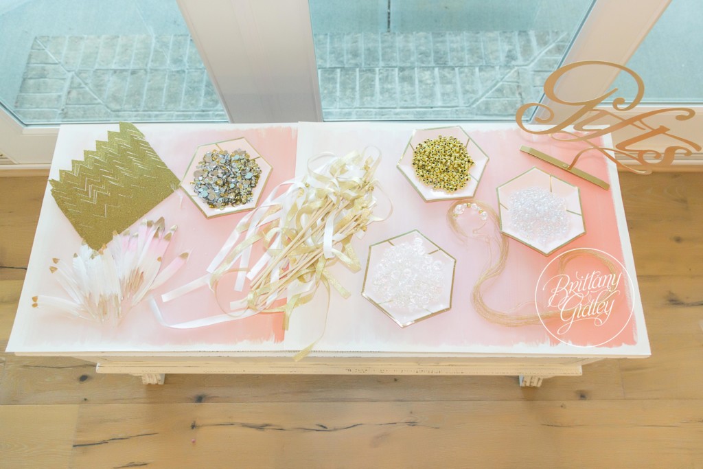 Pink and Gold Birthday Ideas | Ballerina Birthday Party | Swan Queen | Brittany Gidley Photography LLC