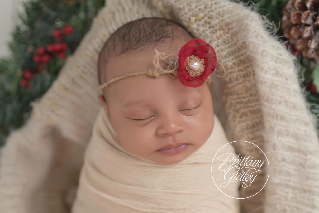 Westlake Newborn Photographer | Newborn Baby Photographer | Newborn Baby Photo Shoot | Westlake Ohio | Baby Girl | Start With The Best | www.brittanygidleyphotography.com