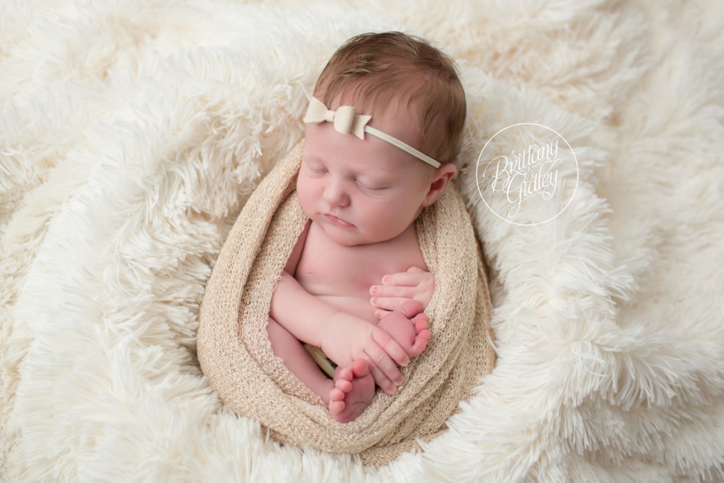 Westlake Newborn Photographer | Westlake Newborn Photography | Newborn Baby Photos | Baby Egg Pose | Brittany Gidley Photography LLC | Westlake, Ohio