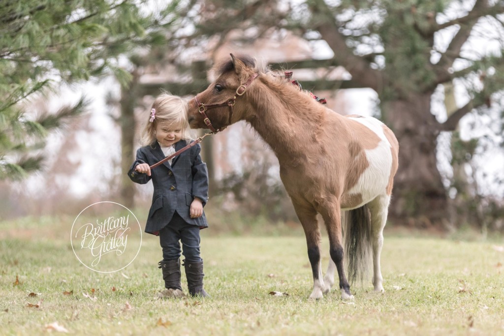 Christmas On The Farm Dream Session  | Best Family Christmas Card Ideas | Brittany Gidley Photography LLC
