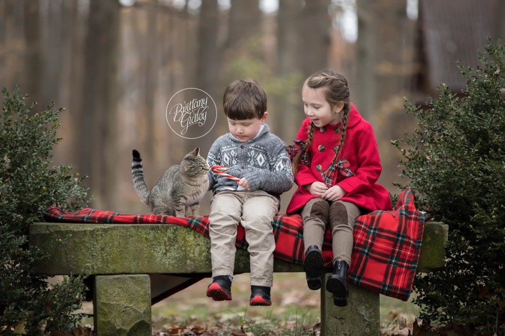 Farm Christmas Images | Barn Christmas Photo Ideas | Brittany Gidley Photography LLC