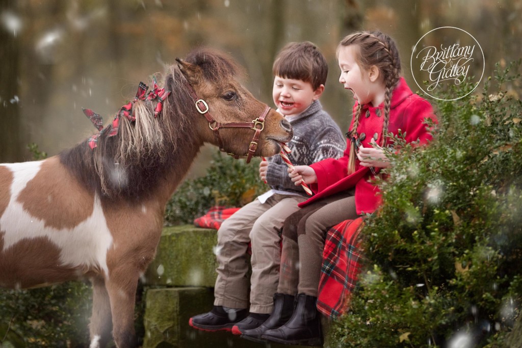 Horse Christmas Images | Candy Cane Christmas Images | Kids Christmas Photo Ideas | Brittany Gidley Photography LLC