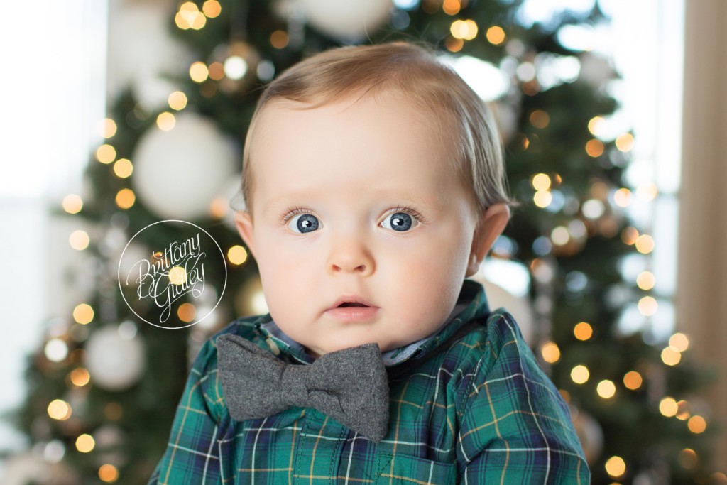 How To Get Perfect Bokeh Christmas Tree Light Images