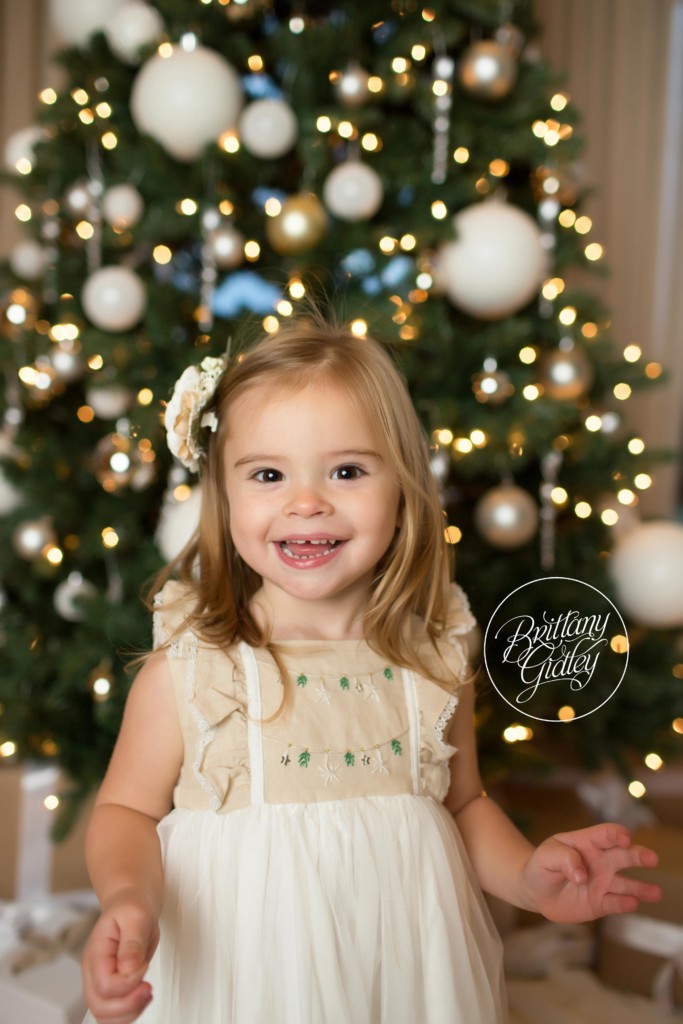 Family Poses In Front of Christmas Tree | Brittany Gidley Photography LLC