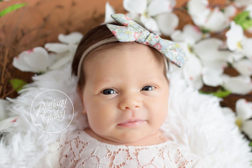 Independence Newborn | Ohio Newborn Photography | Start With The Best | Girl Mom | Newborn Photography Posing