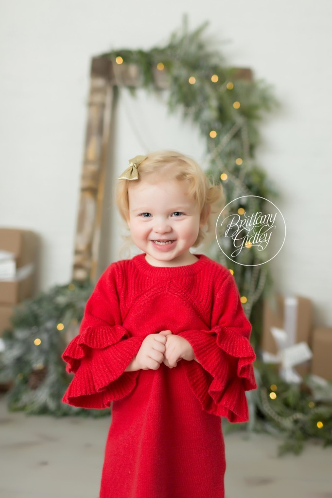 Antique Frame With Garland and Lights Christmas Set Up For Photographers