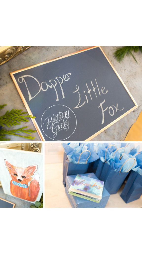 Dapper Little Fox Baby Shower | Baby Boy Sprinkle | Indianapolis Baby Shower Photographer