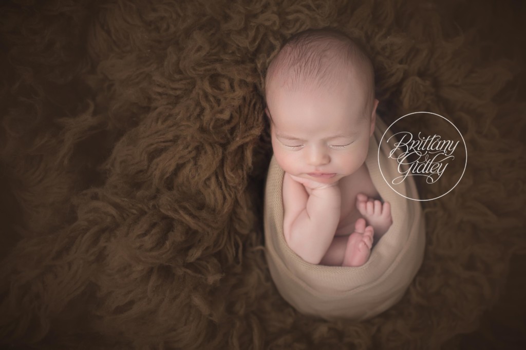 Strongsville Newborn Photography | Newborn Photography in Strongsville Ohio | Newborn Posing