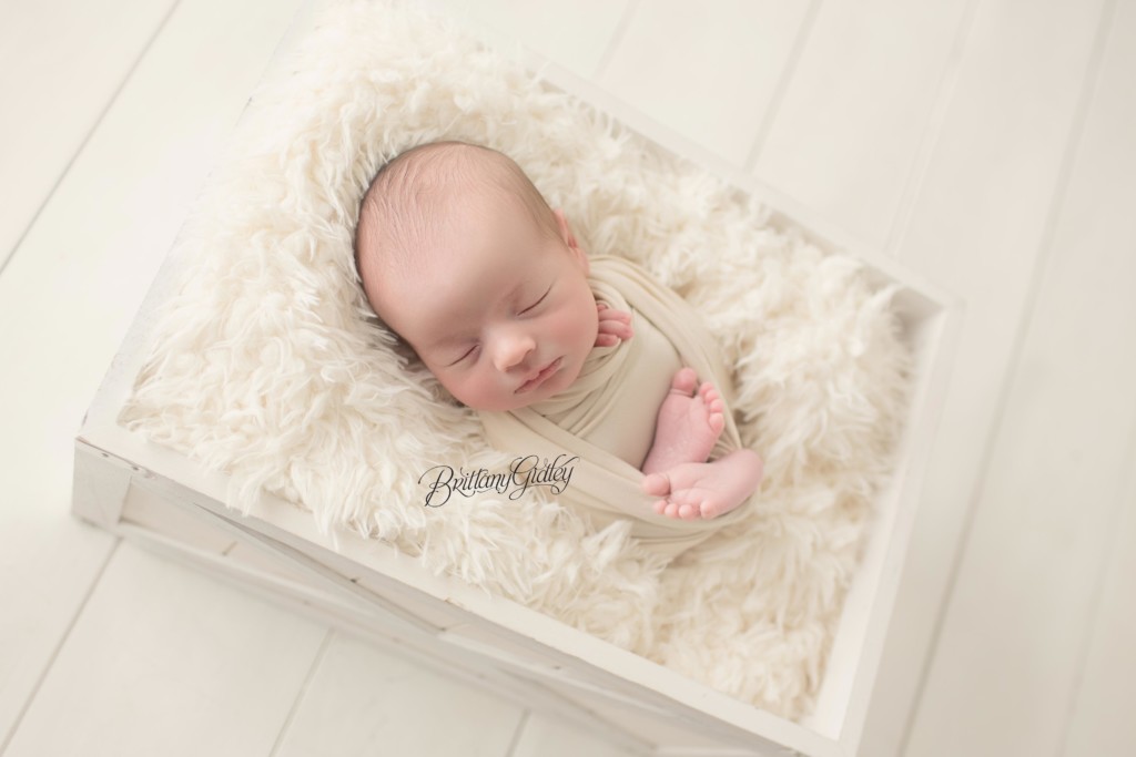 Strongsville Newborn Photography | Newborn Photography in Strongsville Ohio | Newborn Posing