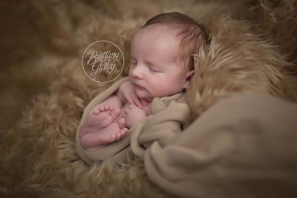 Cleveland Heights Newborn Photographer | Newborn Photography in Cleveland Heights Ohio