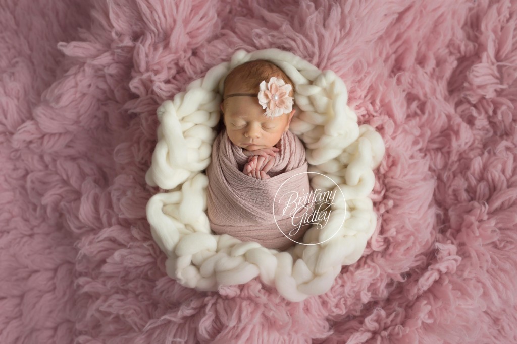 Hudson Newborn Photography | Newborn Posing | Newborn Photo Shoot