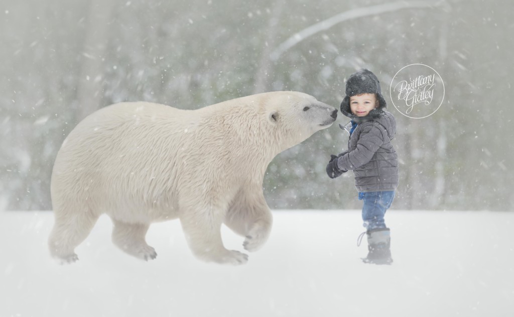 Polar Bear Photo Shoot | Magic of Childhood | Brittany Gidley Photography