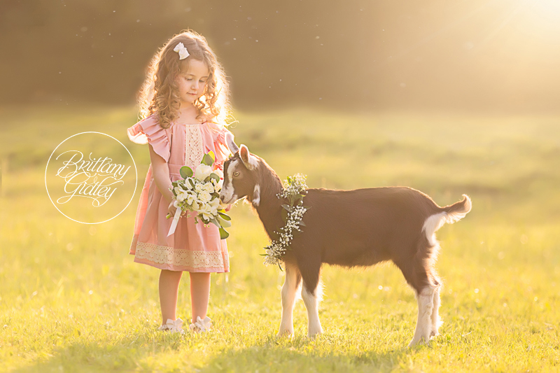 Farm Photo Shoot