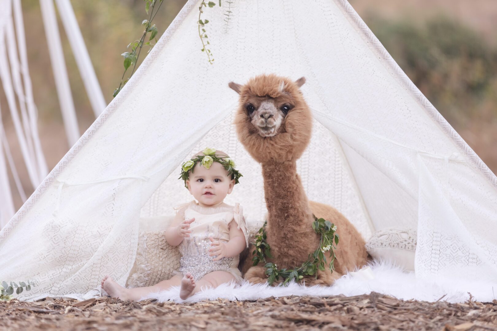 Los Angeles Baby Photography