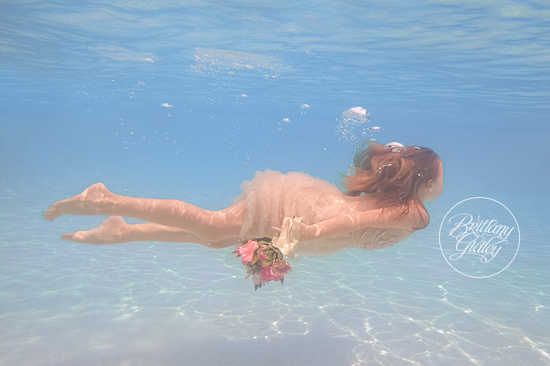 Underwater Photography