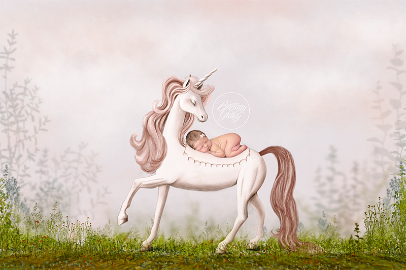 Unicorn Photography