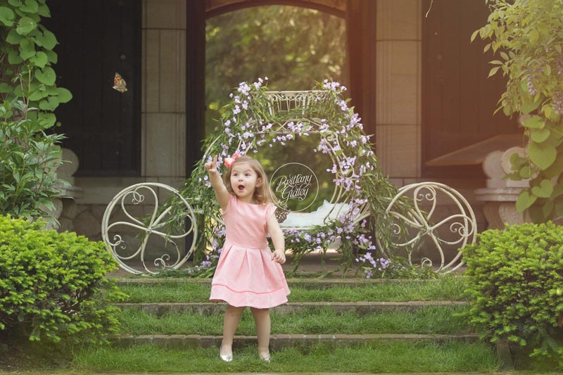 Butterfly Photo Shoot