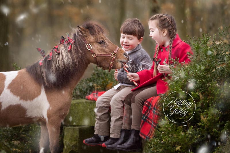Cleveland Child Photographer