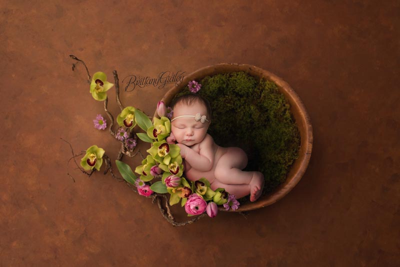 Floral Newborn Pictures