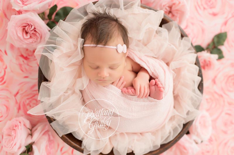 Newborn Photographer Los Angeles