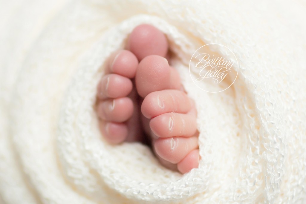 Newborn Posing | Newborn Photographer in Ohio | Ohio's Best Newborn and Baby Studio