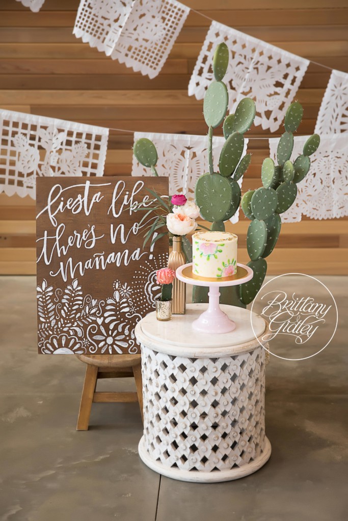 Fiesta Dream Session | Cinco De Mayo Photo Shoot Ideas | Cinco De Mayo Children's Party | Mexican Themed Fiesta Pictures