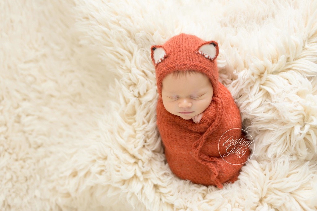 Indianapolis Newborn Photographer | Dapper Little Fox Newborn Dream Session | Beanbag Posing Inspiration