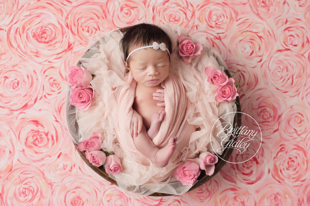 Fresh Floral Roses Newborn | Westlake Newborn Photographer | Westlake Ohio Photographer | Ohio Newborn Photography 