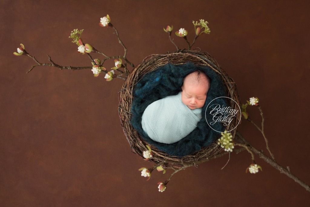 New York Newborn Photographer | Little Boy Blue Dream Session | New York City Newborn Photographer