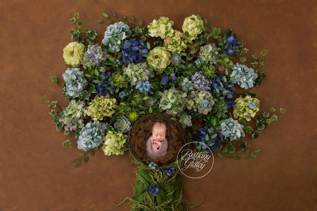 New York Newborn Photographer | Little Boy Blue Dream Session | New York City Newborn Photographer | Best Newborn Composites