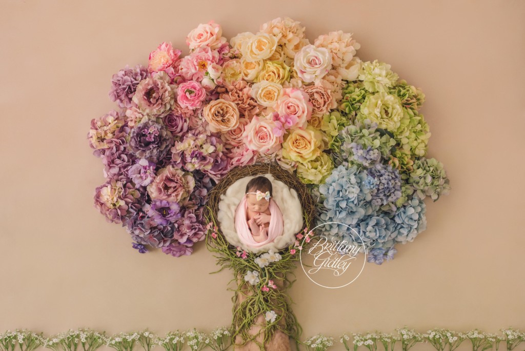 Rainbow Baby Photographer | Rainbow Newborn Dream Session | Rainbow Baby Photography | Rainbow Newborn Floral Photo Shoot