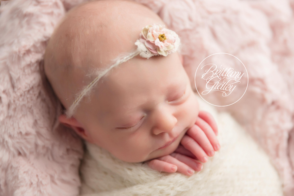 Best Newborn Studio | Cleveland's Best Newborn Photographer | Newborn Posing | Newborn Photography in Cleveland Ohio