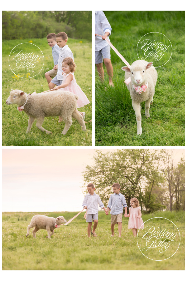 Farm Themed Photo Shoot | Lamb Photo Shoot | Child Photo Shoot With Farm Animals | Brittany Gidley Photography LLC