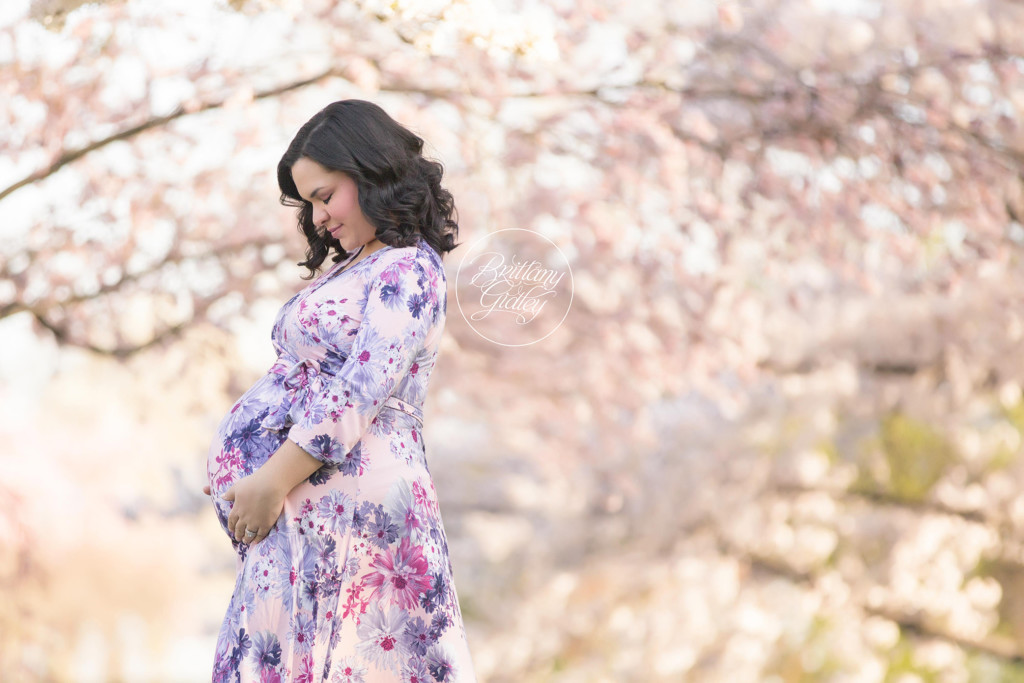 Cherry Blossom Trees in Cleveland Ohio | Spring Photo Shoot | Celebrity Photographer