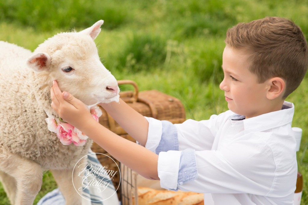 Family Picnic on A Farm Pictures | Farm Themed Photo Shoot | Lamb Photo Shoot | Child Photo Shoot With Farm Animals | Brittany Gidley Photography LLC