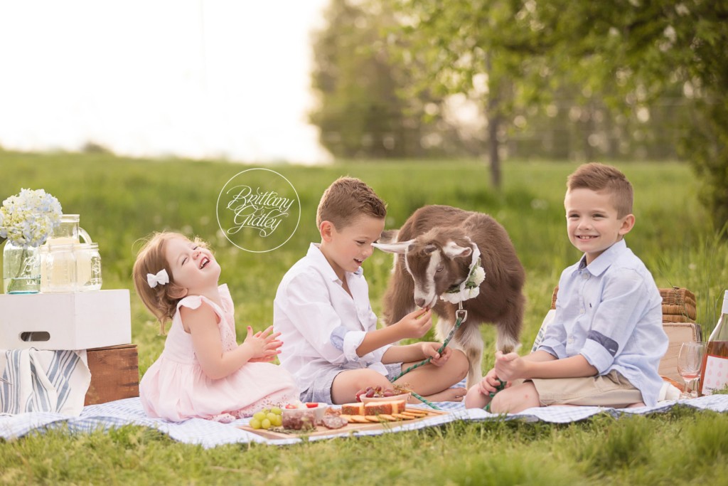 Farm Dream Session | Picnic on A Farm Pictures | Farm Themed Photo Shoot | Goat Photo Shoot | Child Photo Shoot With Farm Animals | Brittany Gidley Photography LLC