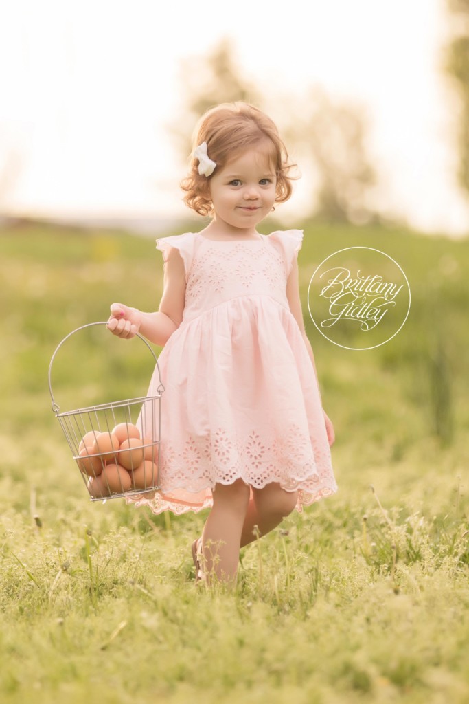 Farm Dream Session | Picnic on A Farm Pictures | Farm Themed Photo Shoot | Goat Photo Shoot | Child Photo Shoot With Farm Animals | Brittany Gidley Photography LLC