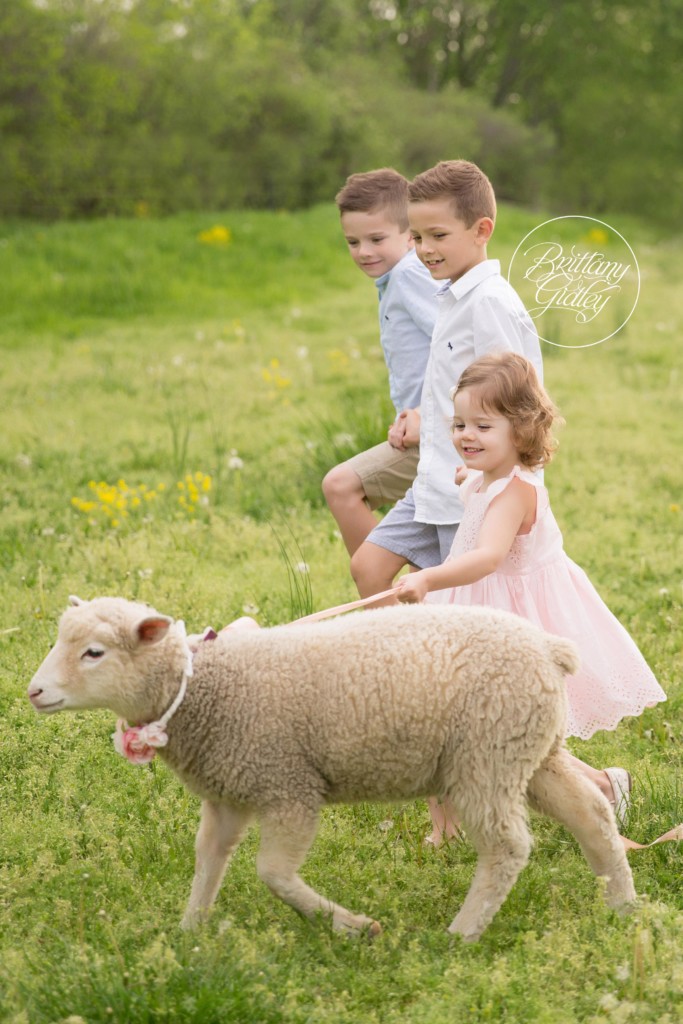 Family Picnic on A Farm Pictures | Farm Themed Photo Shoot | Lamb Photo Shoot | Child Photo Shoot With Farm Animals | Brittany Gidley Photography LLC